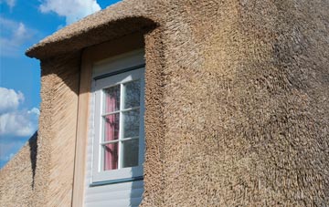 Ashwater thatch roof disadvantages