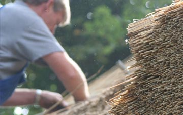 professional Ashwater thatchers